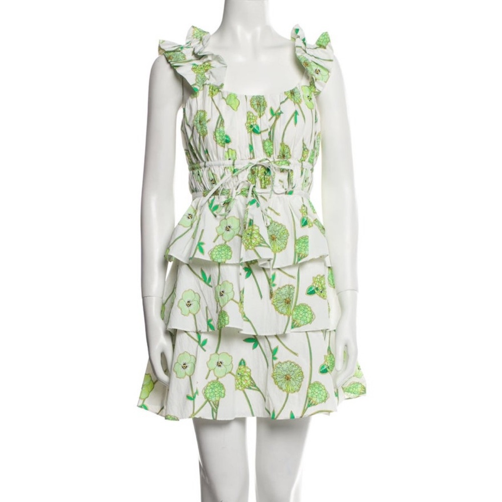 Amur Floral Print Mini Dress - Picture 1 of 7